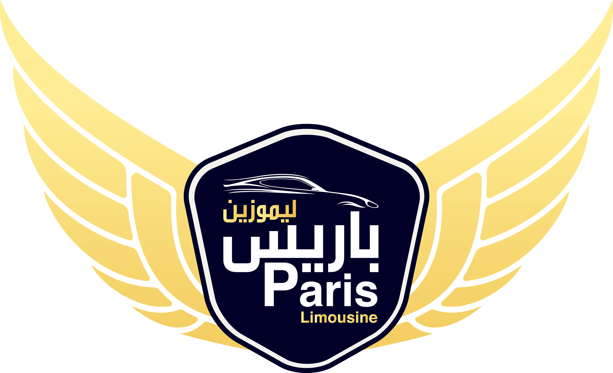 ليموزين مطار برج العرب - ليموزين مطار القاهرة -